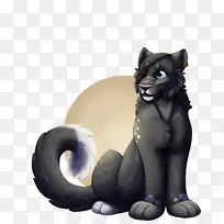 胡须,猫,狗,犬科,鼻子,猫-空若网 胡须,猫,狗,犬科,鼻子,猫-空若网