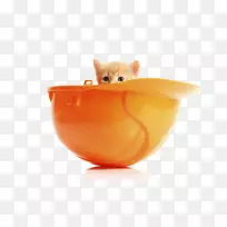 Сè��������è��������ɫèʳè��-������