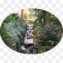 ˮ��-ˮ-������