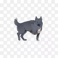 Ȯ�ֱ�βȮ-������