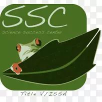 ��ɼ��ʹ����ѧ��ѧ�ɹ����İ�����������ѧϰ����-������