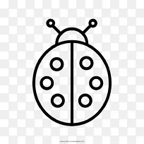 瓢虫线和谜题-五排有益昆虫亚洲女甲虫-甲虫-空若网 瓢虫线和谜题-五排有益昆虫亚洲女甲虫-甲虫-空若网