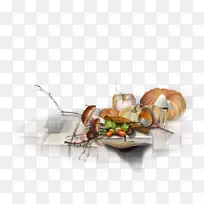 食品设计-空若网 食品设计-空若网