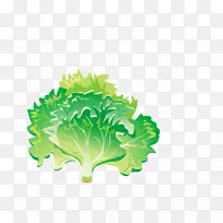 健康摇叶蔬菜食品番茄绿色蔬菜-空若网 健康摇叶蔬菜食品番茄绿色蔬菜-空若网