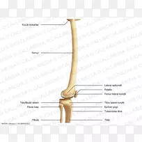 角字体设计-空若网 角字体设计-空若网