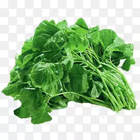 天南星蔬菜种子食品-新鲜蔬菜-空若网 天南星蔬菜种子食品-新鲜蔬菜-空若网