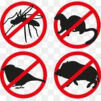 声昆虫-空若网 声昆虫-空若网