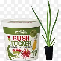 布希·塔克澳大利亚美食土壤肥料-澳大利亚-空若网 布希·塔克澳大利亚美食土壤肥料-澳大利亚-空若网