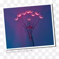 桌面壁纸电脑天空电脑-空若网 桌面壁纸电脑天空电脑-空若网