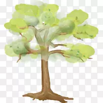 小花摄影剪贴画-树-空若网 小花摄影剪贴画-树-空若网