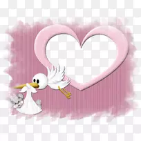 画框摄影昆虫剪贴画昆虫-空若网 画框摄影昆虫剪贴画昆虫-空若网