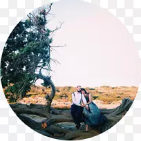 树-树-空若网 树-树-空若网