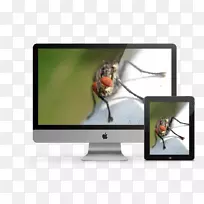 平面设计网页设计电脑显示器视觉通讯设计-空若网 平面设计网页设计电脑显示器视觉通讯设计-空若网