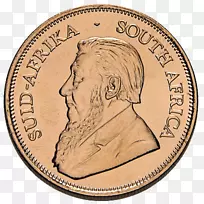 金币金币-空若网 金币金币-空若网