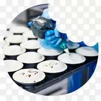 肉饼,完美派,意式馅饼,澳大利亚菜,铝箔-泡芙糕点-空若网 肉饼,完美派,意式馅饼,澳大利亚菜,铝箔-泡芙糕点-空若网