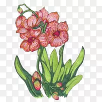 花卉设计切花植物花盆-花卉-空若网 花卉设计切花植物花盆-花卉-空若网