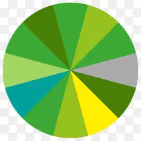 ��ɫ���뼼������־-���-������