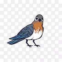 不和谐的互联网机器人编辑计算机服务器-阿凡达的不和谐-空若网 不和谐的互联网机器人编辑计算机服务器-阿凡达的不和谐-空若网