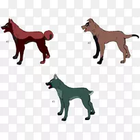 养猫野生动物尾巴狗-空若网 养猫野生动物尾巴狗-空若网