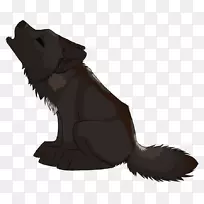 ������Ӷ���-��-������