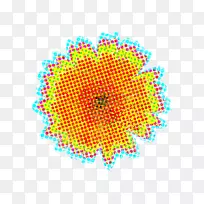 �ߵ�������-������