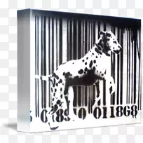 ���������Ȯ���˶�����-��ɫ������-������