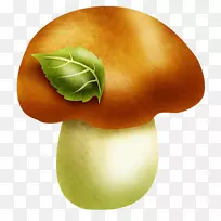 ��ȻʳƷ�߲���ʳʳƷ�߲�-������