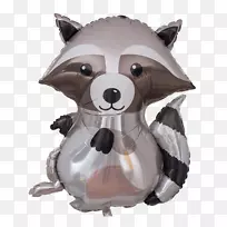 浣熊狗犬科鼻子-浣熊-空若网 浣熊狗犬科鼻子-浣熊-空若网