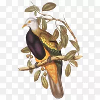 ���������¸���˹��-������