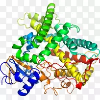 人体首饰有机体线剪贴画线-空若网 人体首饰有机体线剪贴画线-空若网