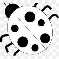 瓢虫昆虫电脑图标剪贴画昆虫-空若网 瓢虫昆虫电脑图标剪贴画昆虫-空若网