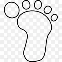 鼻子动物剪贴画.鼻子-空若网 鼻子动物剪贴画.鼻子-空若网