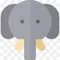 象鼻-空若网 象鼻-空若网