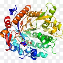人体首饰有机体线剪贴画线-空若网 人体首饰有机体线剪贴画线-空若网