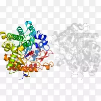 树木剪贴画-树-空若网 树木剪贴画-树-空若网
