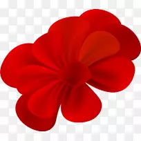 红-法拉利2018年开花植物-空若网 红-法拉利2018年开花植物-空若网