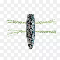 ��ʯ��ȫ��������(��)���ꥹ���륰��`������ȱ��-��ʯ)-������