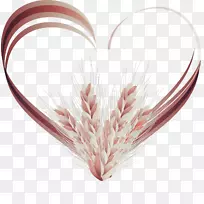 Adobe�廭��-��С��-������