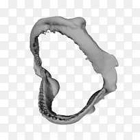 银身珠宝下巴-银-空若网 银身珠宝下巴-银-空若网