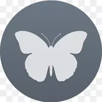 �仯�Ļ��Ҵ�������ķ·������-���п���˹��ʥ����-������