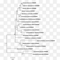 ��ԭ����-ϵͳ������-������