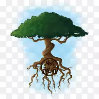 树花盆植物-树-空若网 树花盆植物-树-空若网