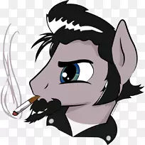 马传奇生物鼻子剪贴画-马-空若网 马传奇生物鼻子剪贴画-马-空若网