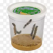 ºûµûÔ°ÒÕÀ¥³æÖªÊ¶Ã«³æ-ºûµû-¿ÕÈôÍø ºûµûÔ°ÒÕÀ¥³æÖªÊ¶Ã«³æ-ºûµû-¿ÕÈôÍø