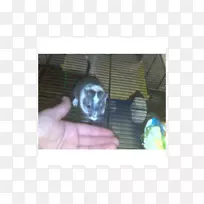 ǰ�յ����ϲ���������.Smirnoff-������