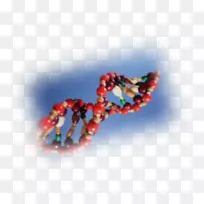 珠宝首饰-空若网 珠宝首饰-空若网