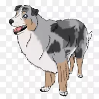 犬种澳大利亚牧羊犬鼻子夹艺术-空若网 犬种澳大利亚牧羊犬鼻子夹艺术-空若网