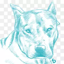 ����è����ֳ����è-������