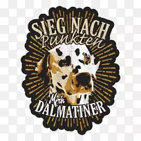 犬科狗头骨鼻型犬-空若网 犬科狗头骨鼻型犬-空若网