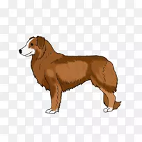 犬种鼻犬-空若网 犬种鼻犬-空若网